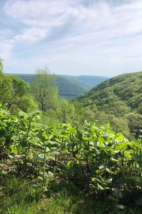 2 Bedroom 2 Bathroom - Blue Knob All Season Resort Condo Claysburg Zewnętrze zdjęcie